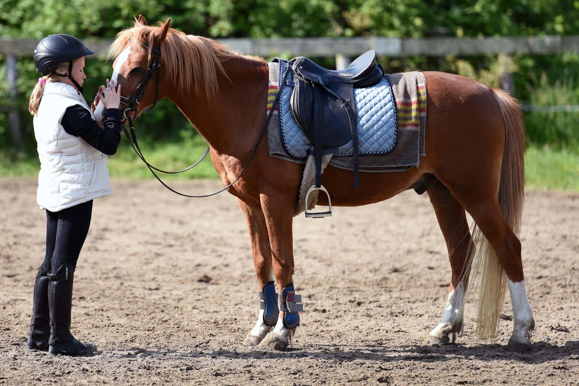 Des chevaux et des mômes