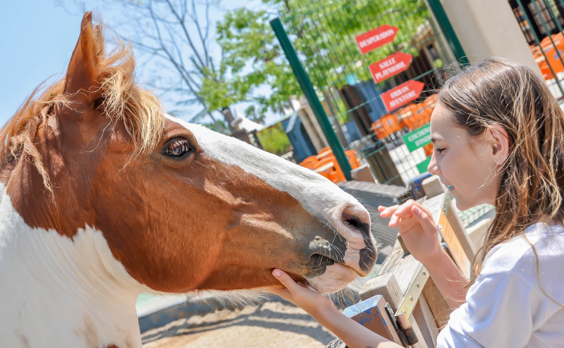 Des chevaux et des mômes