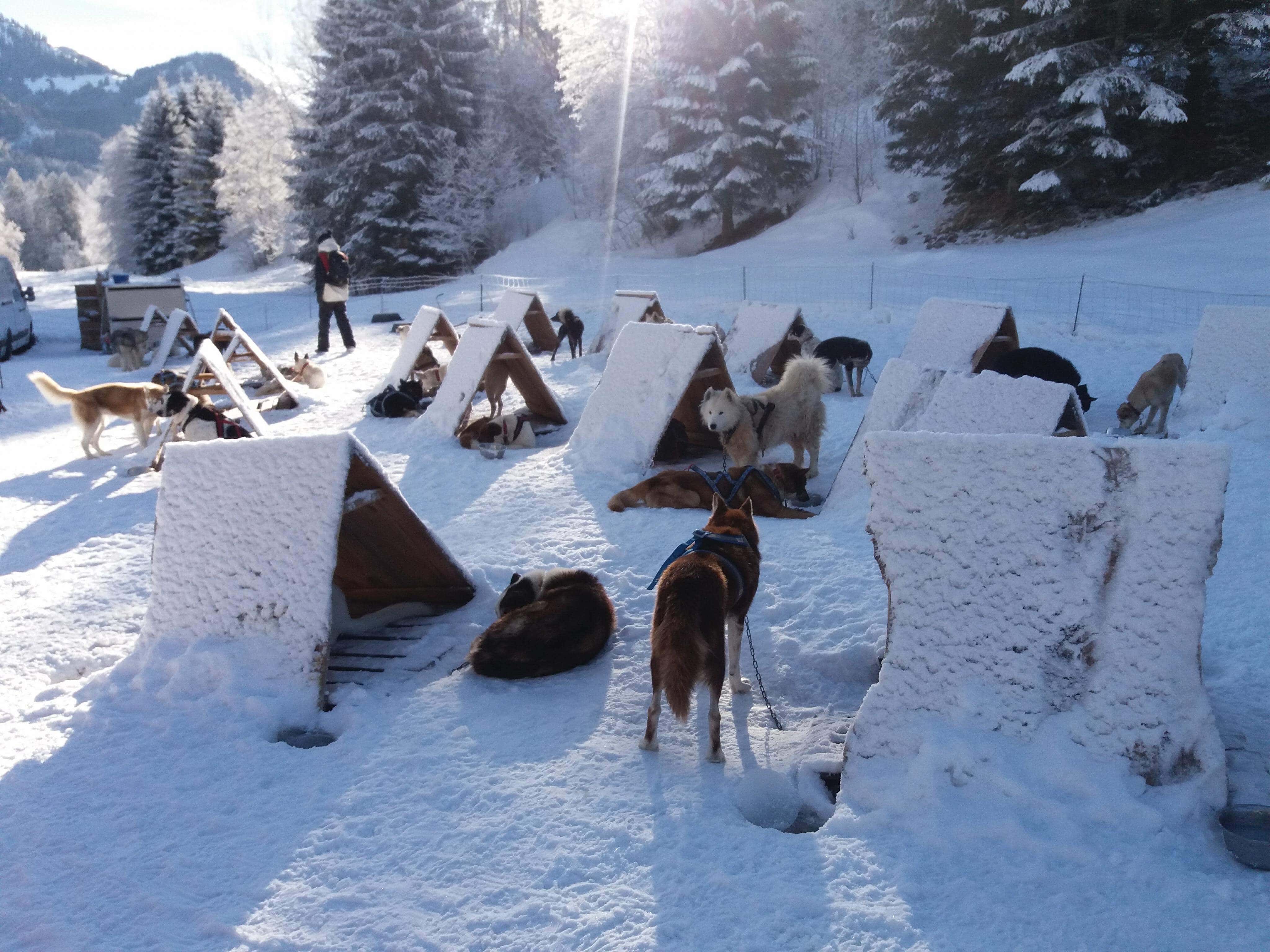 Aventures Montagnardes-