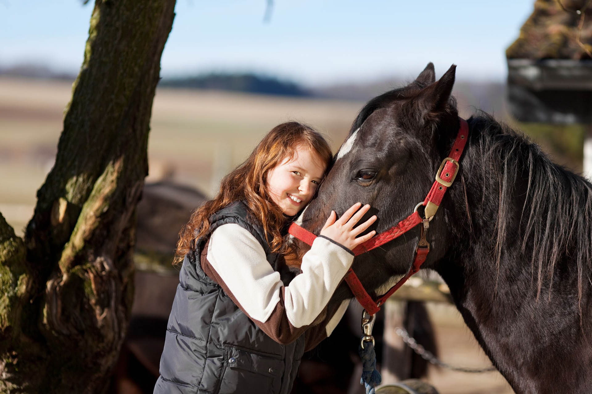 100% Équitation