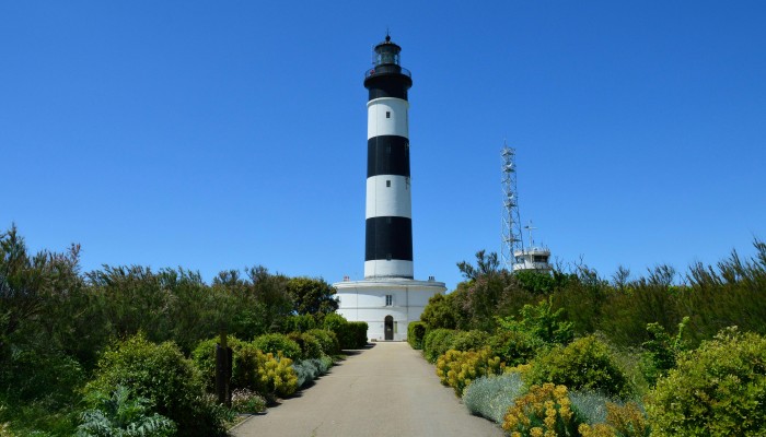 Expédition Maritime