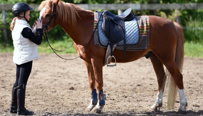 Des chevaux et des mômes