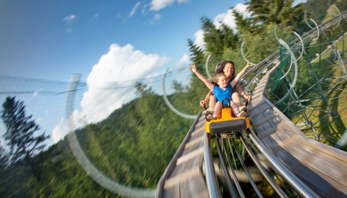 Les Explorateurs des Vosges